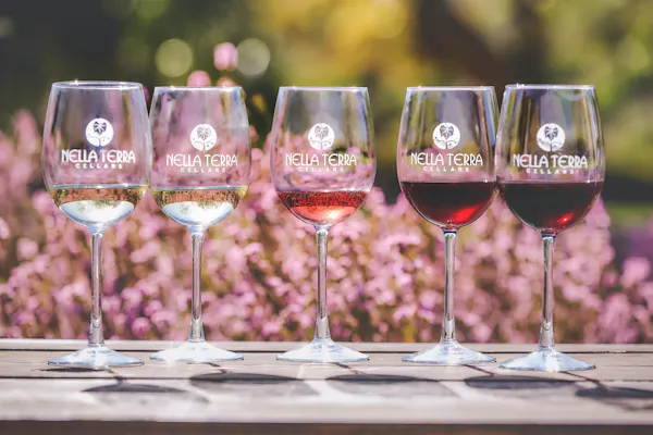tableware, drinkware, stemware, wine glass, barware, drink