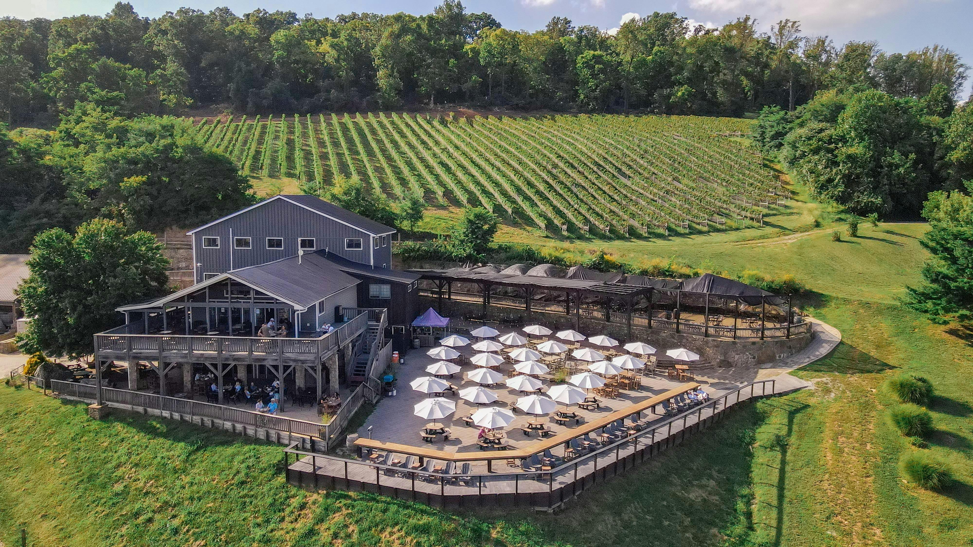 Bluemont Vineyard