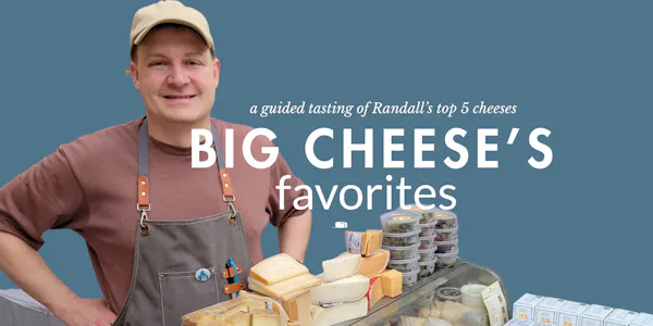 ingredient, food, cheese, dairy product, cheesemaking, parmigiano-reggiano