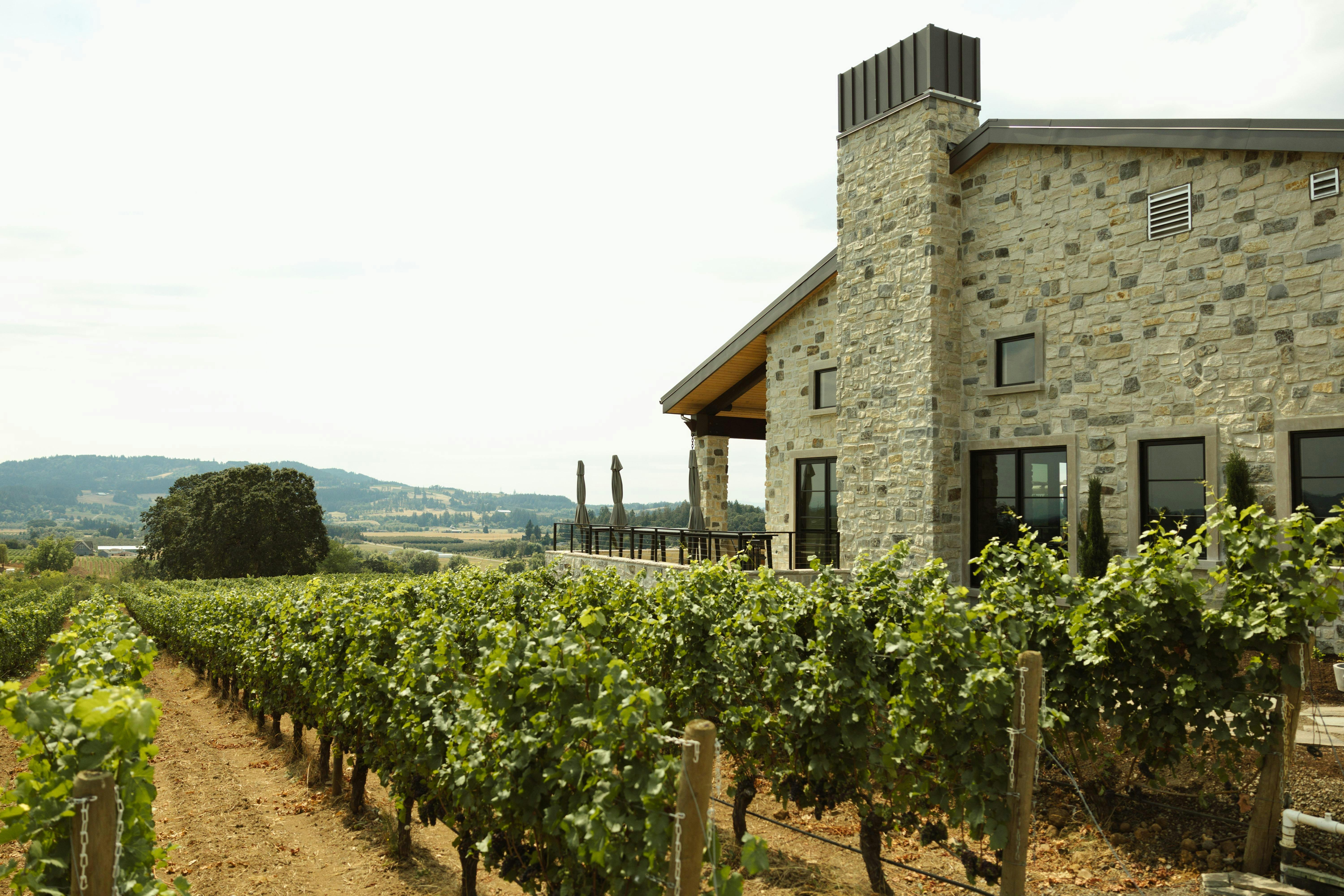 The Villa at Lachini Estate Vineyard