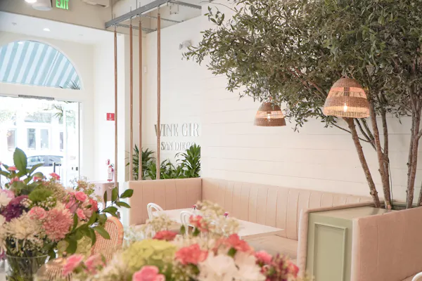 plants, flowerpot, furniture, houseplant, pink, cut flowers