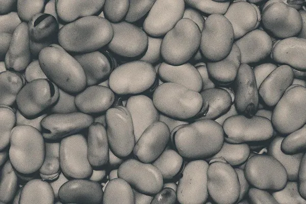 bean, ingredient, produce, food, legume, common bean