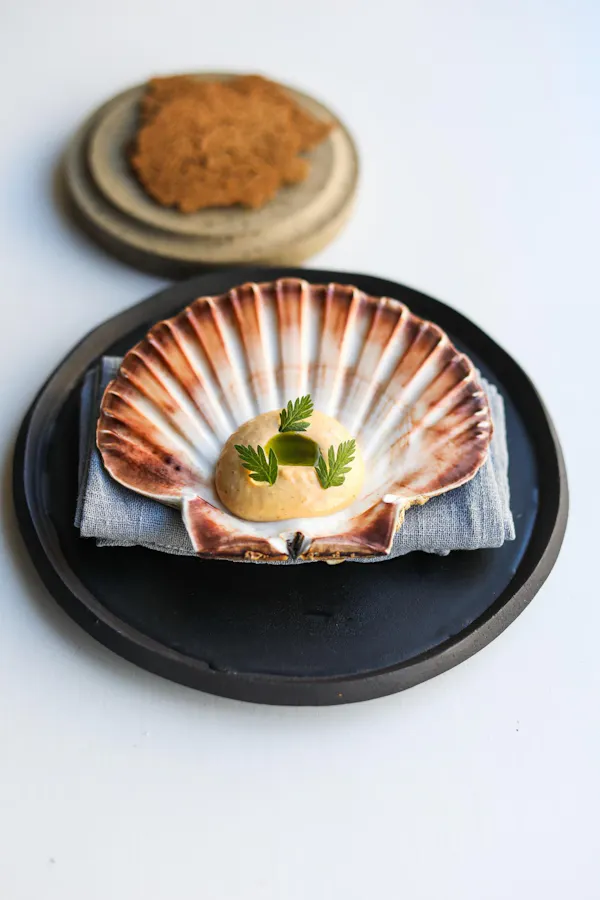food, seashell, tableware, bivalvia, dishware, ingredient