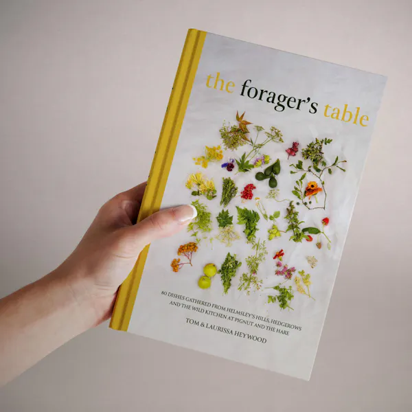 paper product, publication