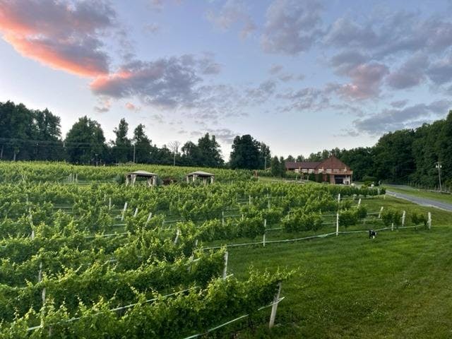 Fox Meadow Winery