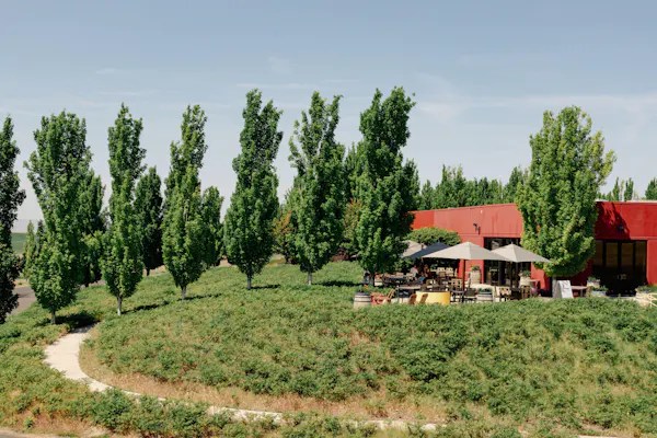 garden, shade, landscaping, plantation, conifers, outdoor furniture