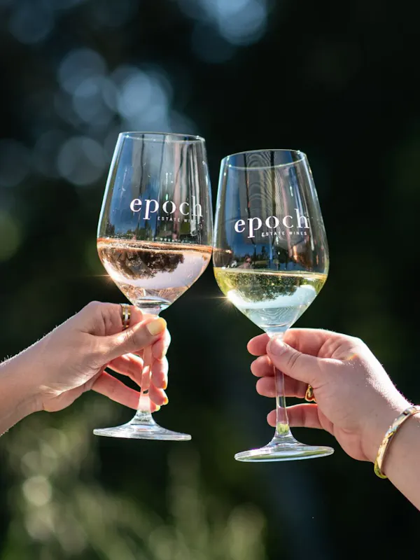 alcoholic drink, drinkware, stemware, alcohol, barware, liquid