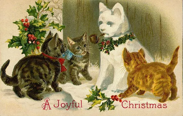 cat, felinae, felidae, carnivores, holiday, fictional character