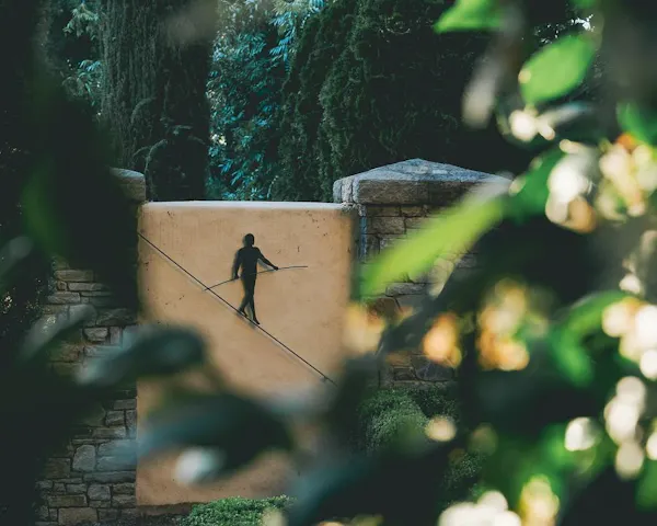 people in nature, sunlight