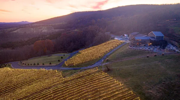 agriculture, rural area, plantation, field, hill station, farm