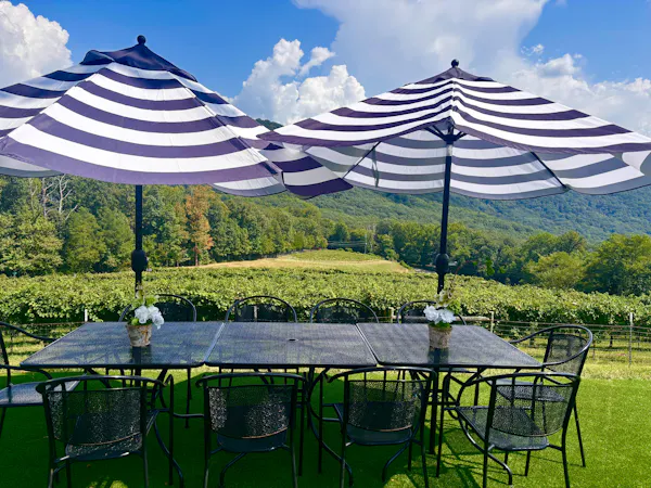 blue, furniture, outdoor furniture, umbrella, outdoor table, table