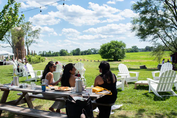 furniture, grass, outdoor furniture, table, recreation, summer