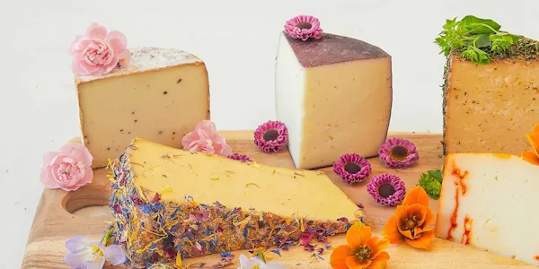 food, ingredient, cheese, dairy product, processed cheese, sheep milk cheese