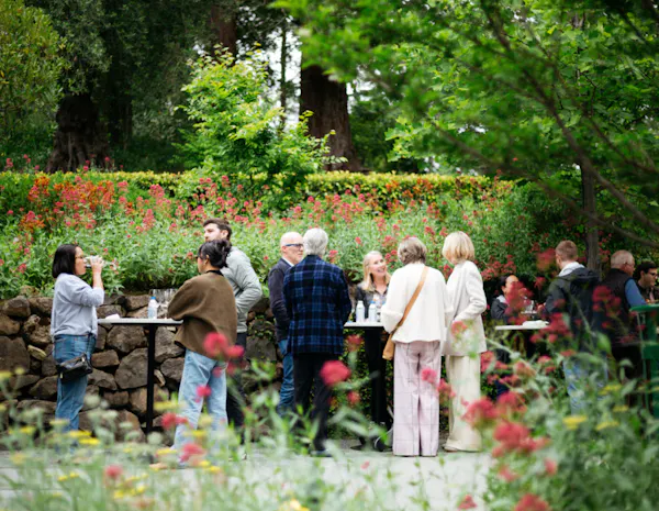 shrub, garden, leisure, spring, recreation, outdoor table