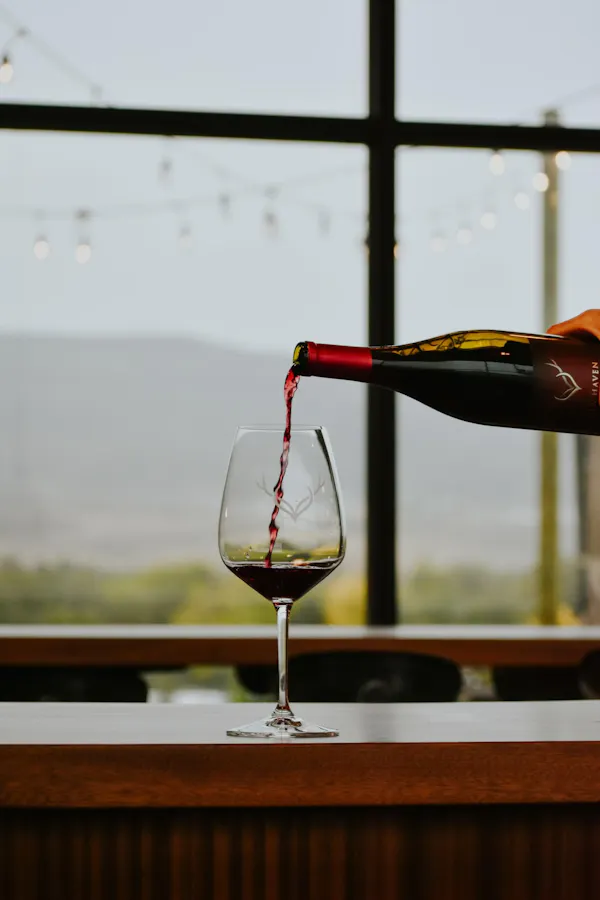 alcoholic drink, stemware, drinkware, glass, wine, barware