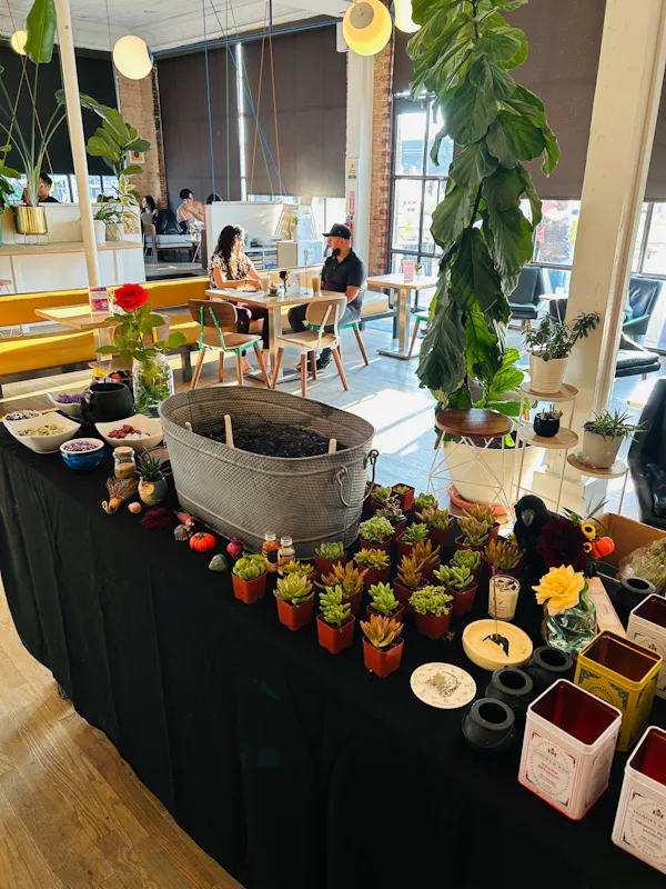 plants, flowerpot, houseplant, furniture, floral design, flower arranging