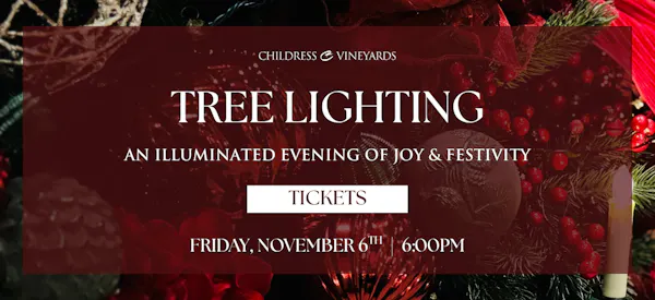 night, midnight, christmas decoration