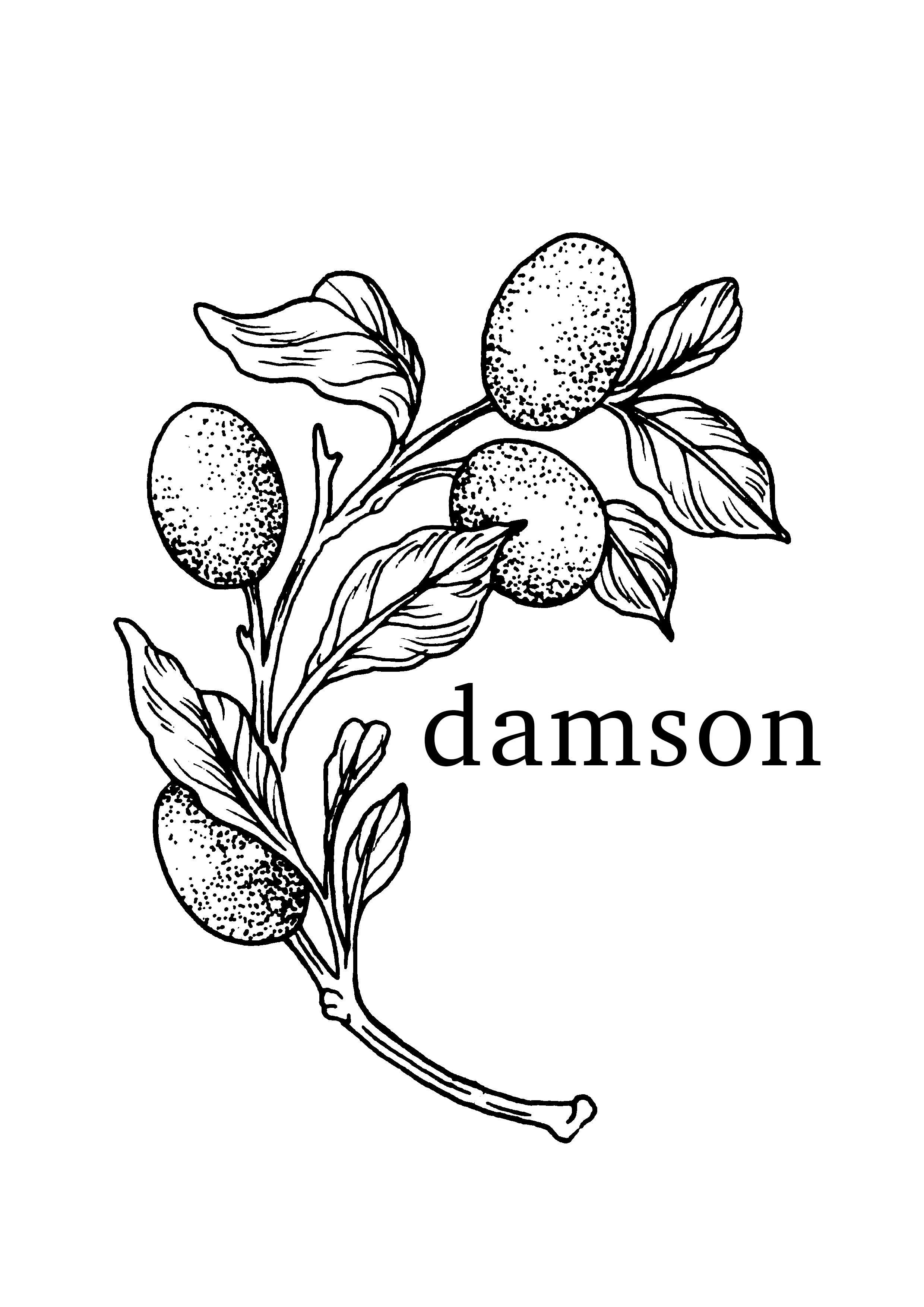 Damson Restaurant