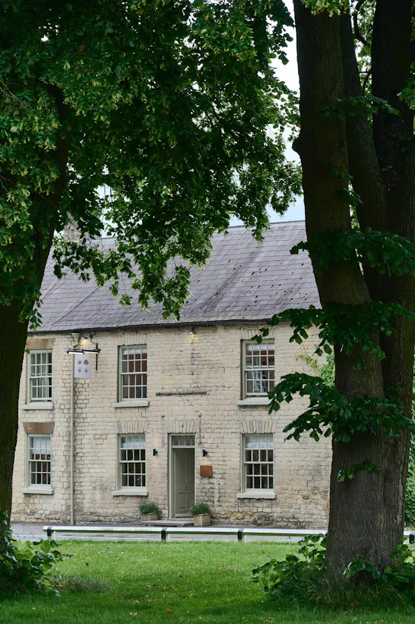 building, window, property, plant, house, tree