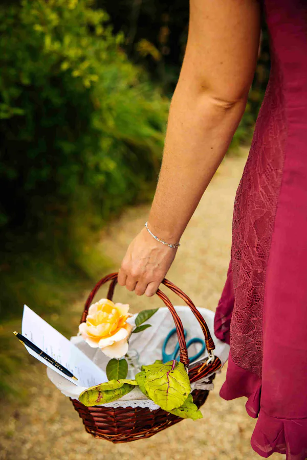 basket, flower girl basket, petal, pink, bag, flower bouquet