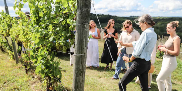 event, dress, happiness, people in nature, agriculture, plantation