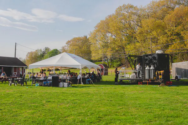 grass, tree, tent, recreation, public space, canopy