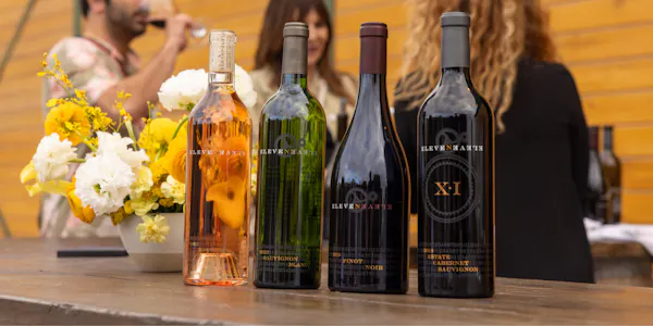 bottle, alcoholic drink, drinkware, glass bottle, wine, liquor