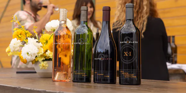 bottle, alcoholic drink, drinkware, glass bottle, wine, liquor