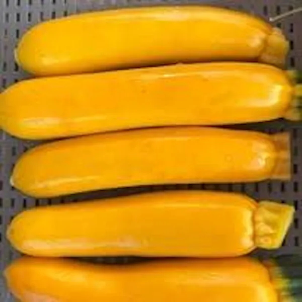 yellow, vegetable, produce, food, summer squash, natural foods
