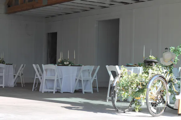 furniture, chair, flower arranging, hall, ceremony, houseplant