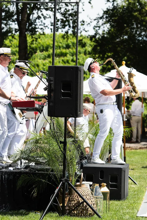 musical instrument, audio equipment, performance, music, musician, entertainment