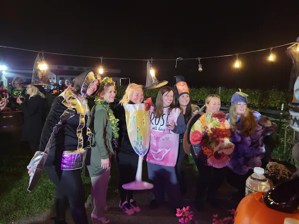 fun, event, night, party, costume, leisure