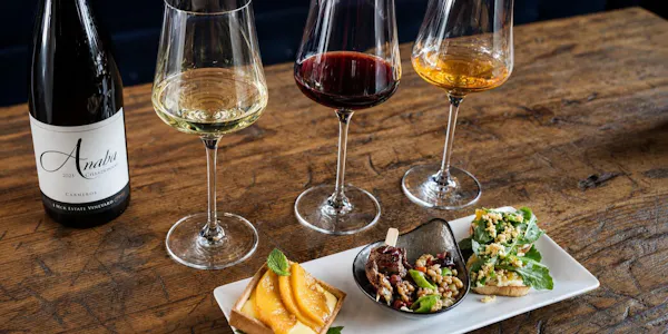 stemware, tableware, wine glass, drinkware, barware, alcoholic drink