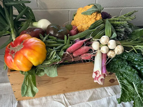 food, produce, natural foods, vegetable, ingredient, food group