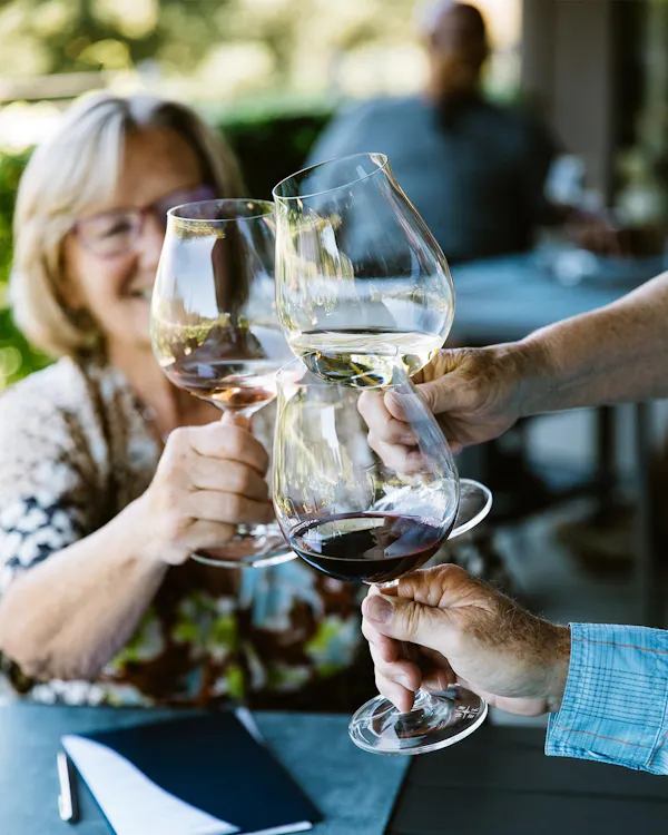 tableware, drinkware, stemware, wine, wine glass, gesture