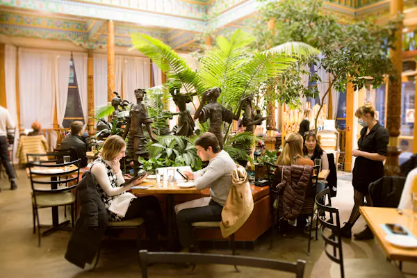 furniture, chair, restaurant, houseplant, conversation, customer