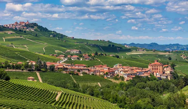 hill, hill station, agriculture, field, plantation