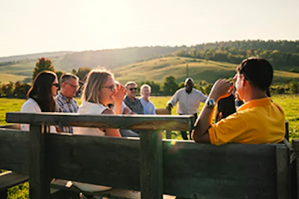 grassland, summer, landscape, leisure, recreation, fun