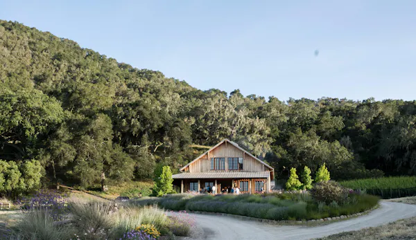 plants, cottage, house, home, rural area, estate