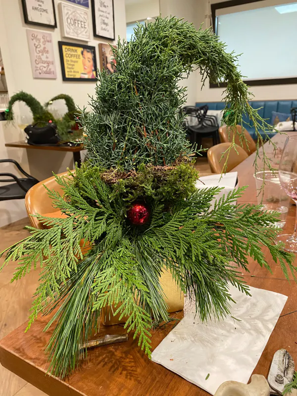 plant, houseplant, twig, flowerpot, larch, evergreen