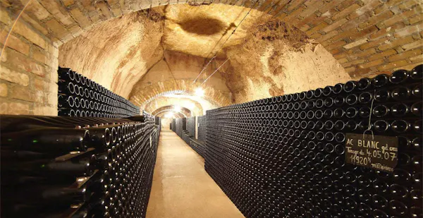 winery, wine cellar