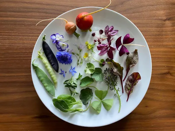 food, tableware, dishware, ingredient, recipe, fines herbes