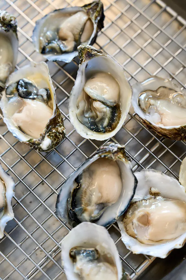 food, ingredient, seafood, bivalvia, oyster, shellfish