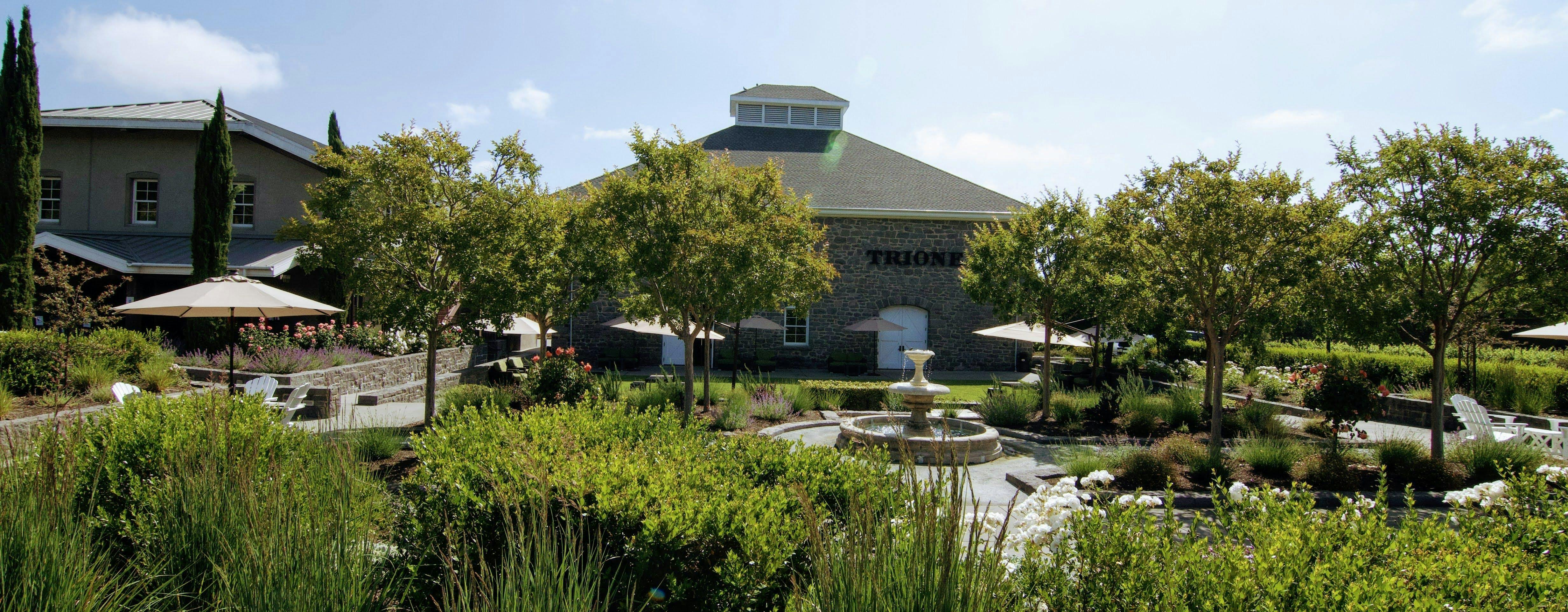 Trione Vineyards & Winery