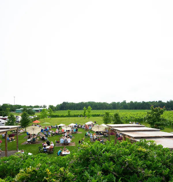 grass, grassland, recreation, umbrella, garden, leisure