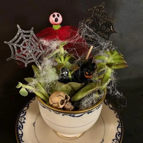 serveware, cut flowers, craft, centrepiece, dishware, floral design