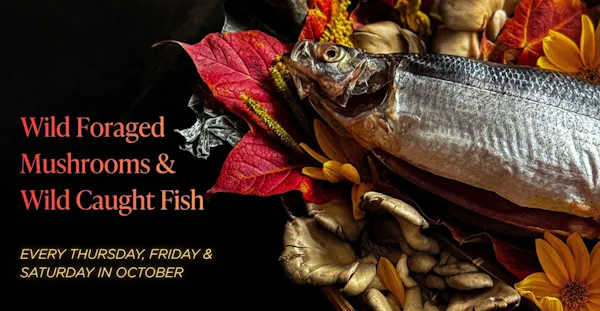 fish products, seafood, fish, food, natural foods, produce