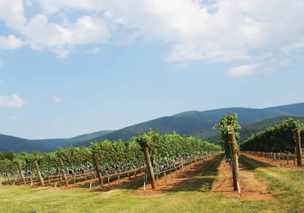 mountainous landforms, hill, mountain, landscape, highland, plantation
