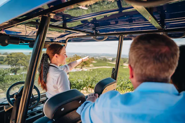 vehicle, motor vehicle, plant, gesture, travel, leisure