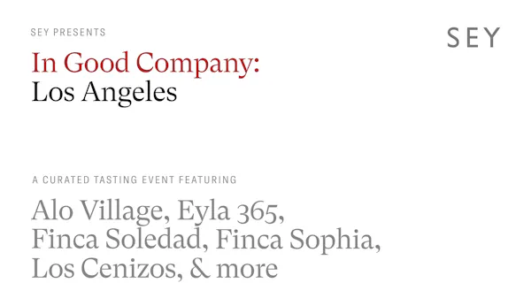 text, font